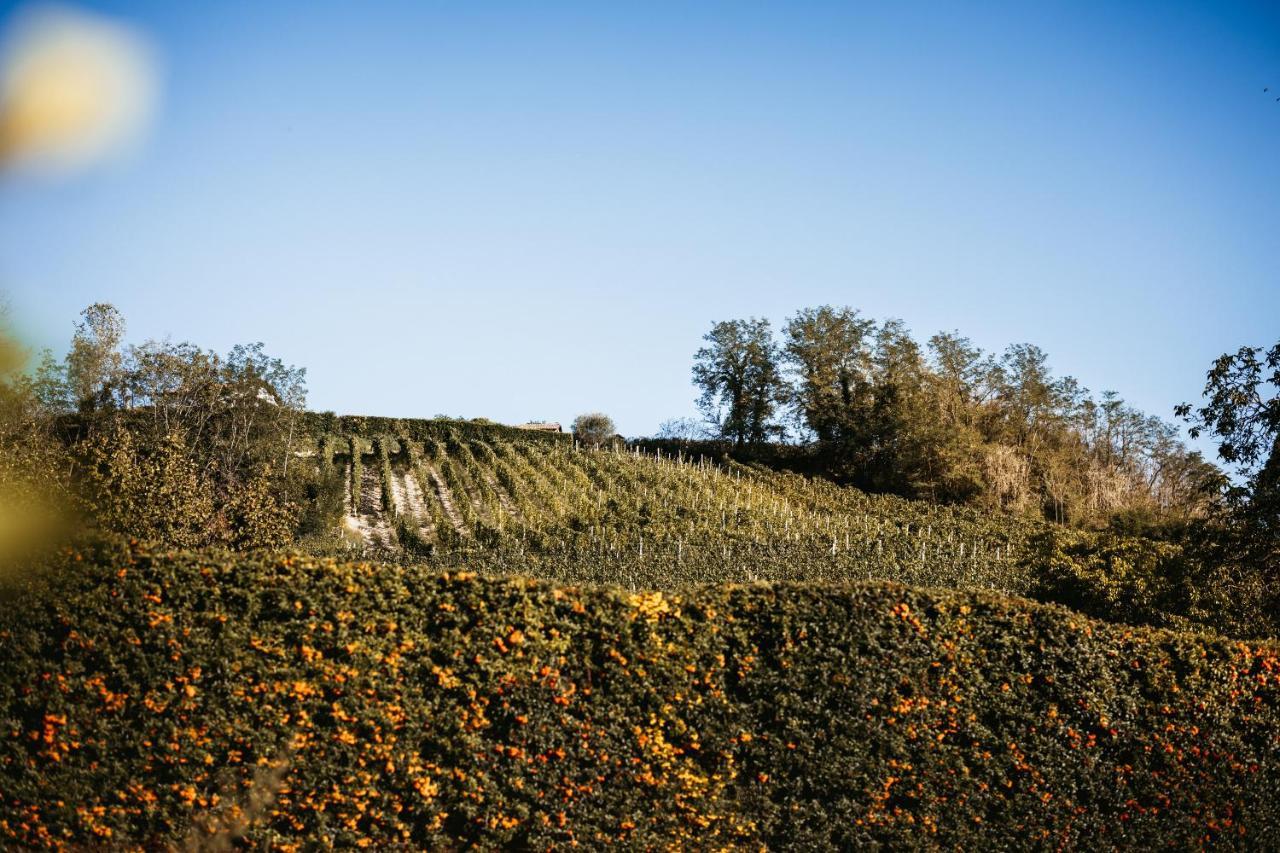 Villa Gramolina Nizza Nizza Monferrato Exterior photo