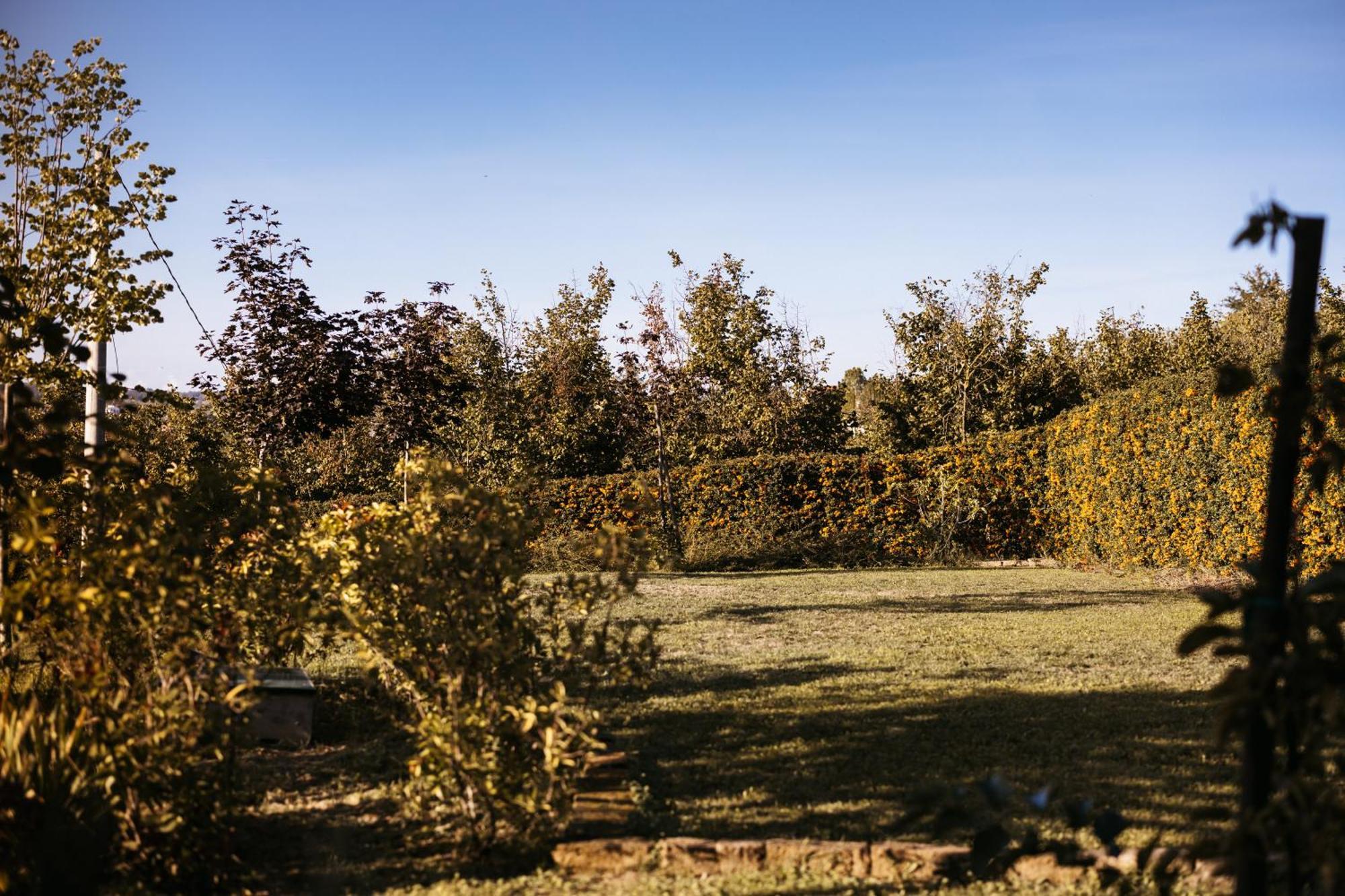 Villa Gramolina Nizza Nizza Monferrato Exterior photo